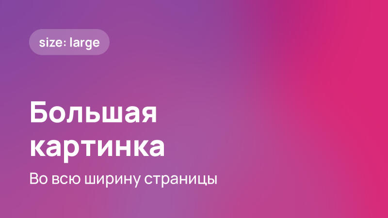 Градиентный фон от фиолетового слева к розовому справа, с закругленным прямоугольником в верхнем левом углу, содержащим текст «size: large». Ниже крупным белым текстом написано «Большая картинка», а еще ниже меньшим белым текстом — «Во всю ширину страницы».