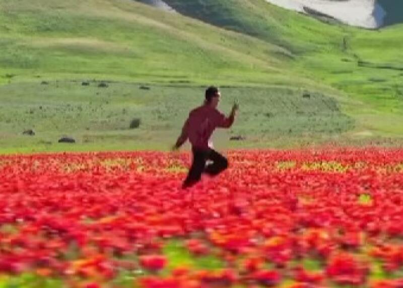 A person runs through a large field of vibrant red flowers, with green hills and distant snow in the background.