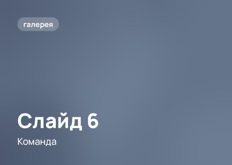 Однотонный серо-синий фон с текстом «галерея» в скругленном прямоугольнике вверху слева, а также «Слайд 6» и «Команда» белым текстом слева.