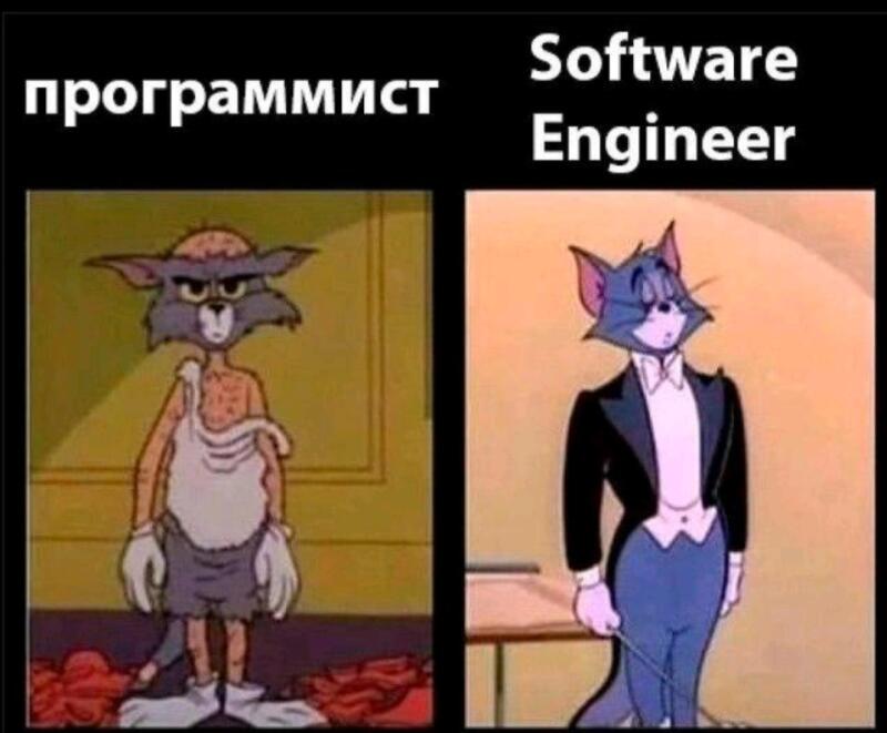 The meme contrasts a programmer with a software engineer, using cartoon images of Tom the cat. The programmer side shows Tom disheveled, while the software engineer side shows him smartly dressed in a suit. Text labels read "программист" and "Software Engineer."