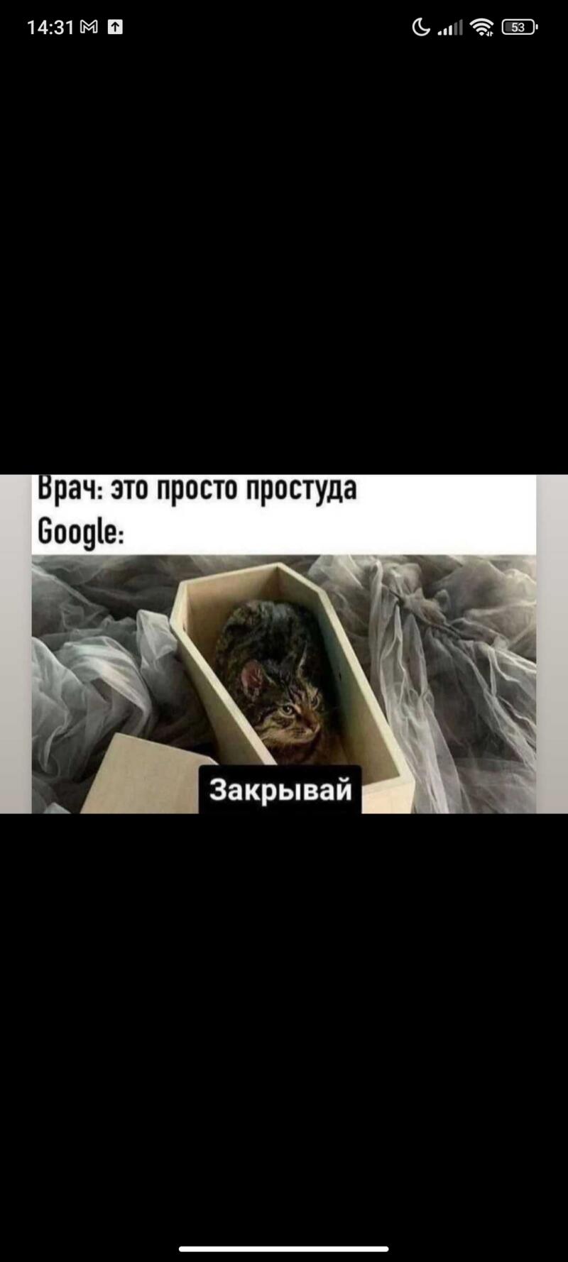 The image is a meme featuring a cat lying in a small coffin with the text "Врач: это просто простуда Google:" and "Закрывай".