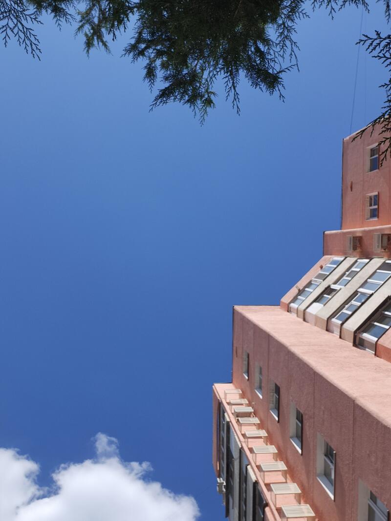 A pink building is seen from a low angle against a blue sky with some tree branches in the upper part of the frame and a few clouds in the lower part.