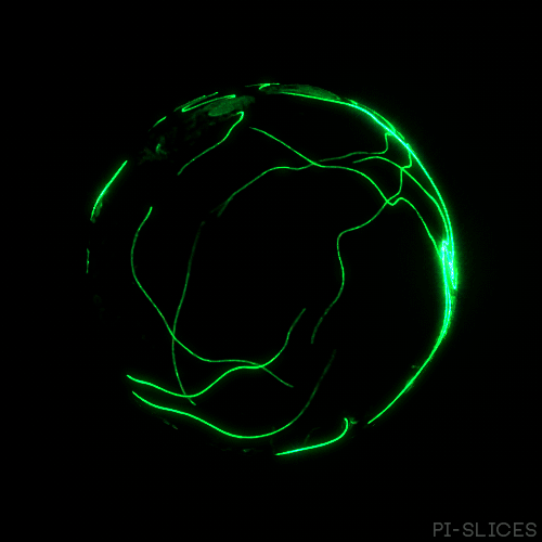 A glowing green sphere is shown against a black background, with wavy green lines wrapping around it. The text "PI-SLICES" is visible in the lower right corner.