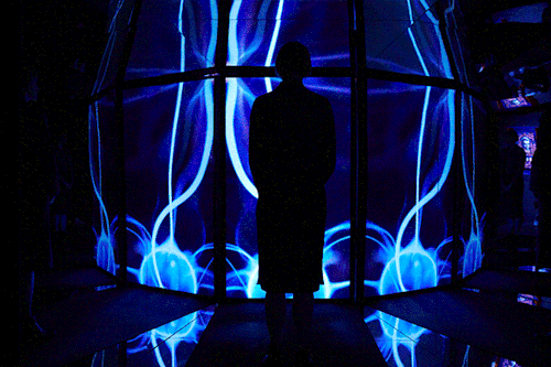 A silhouette of a person stands in front of a curved screen displaying blue, vein-like patterns.