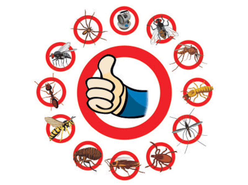 The image shows a thumbs-up gesture in the center of a red circle, surrounded by various pests inside red prohibition signs, including a spider, fly, ant, wasp, flea, cockroach, tick, mosquito, termite, and others.