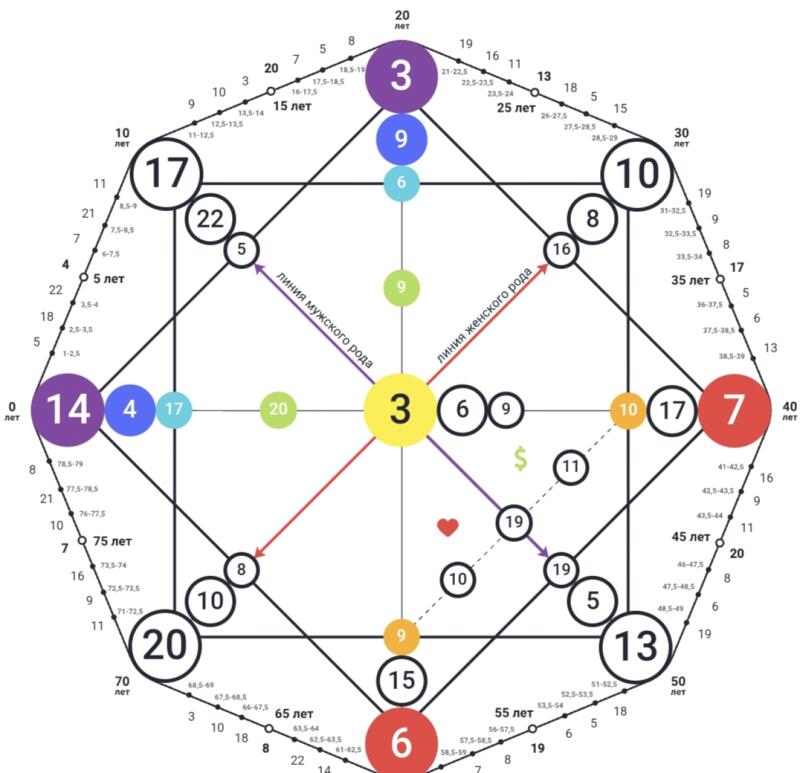 The image is a complex diagram featuring geometric shapes, numbers, and text in Russian, with a color-coded system of circles and lines connecting them. The diagram includes arrows labeled 'линия мужского рода' (male lineage line) and 'линия женского рода' (female lineage line).