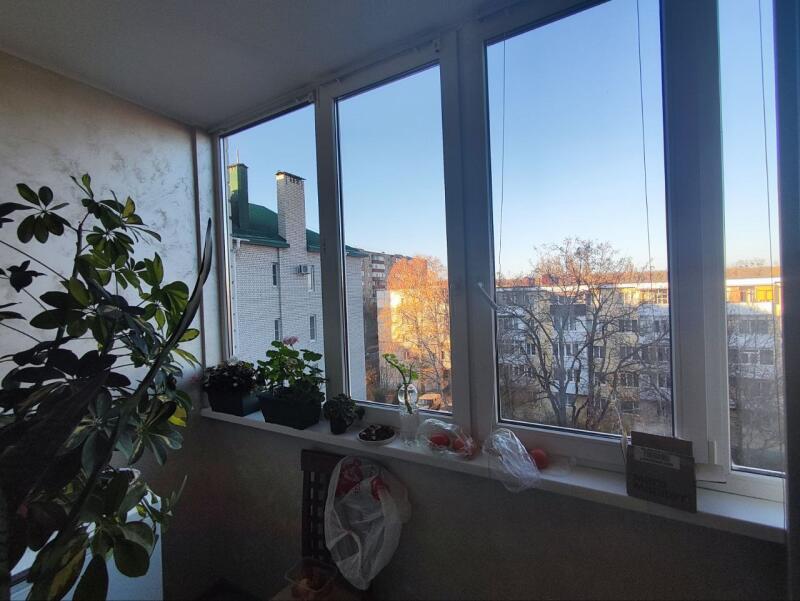 A balcony with a view of buildings, featuring a window with plants on the sill and a large potted plant in the foreground.