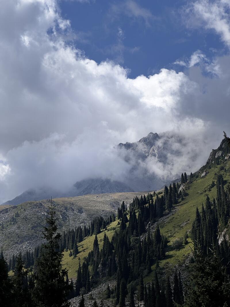 The landscape features a mountain partially obscured by clouds, a hillside covered with evergreen trees, and a sky with scattered clouds.