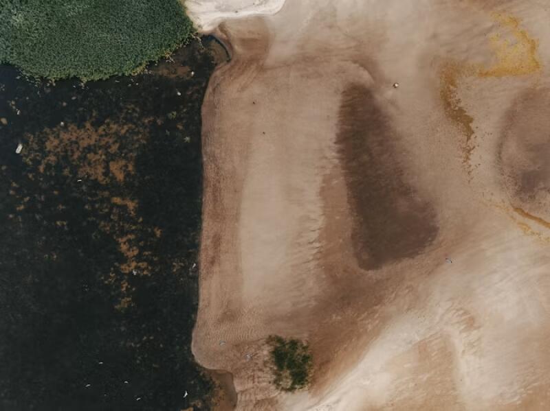 An aerial view shows a sandy beach meeting dark water, with patches of green vegetation along the shoreline.