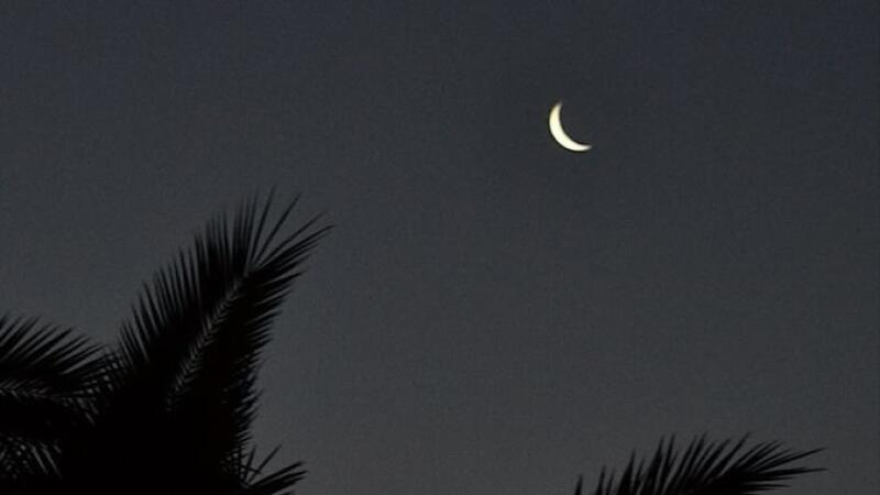 The image shows a crescent moon in a dark night sky, with the silhouettes of palm trees in the foreground.