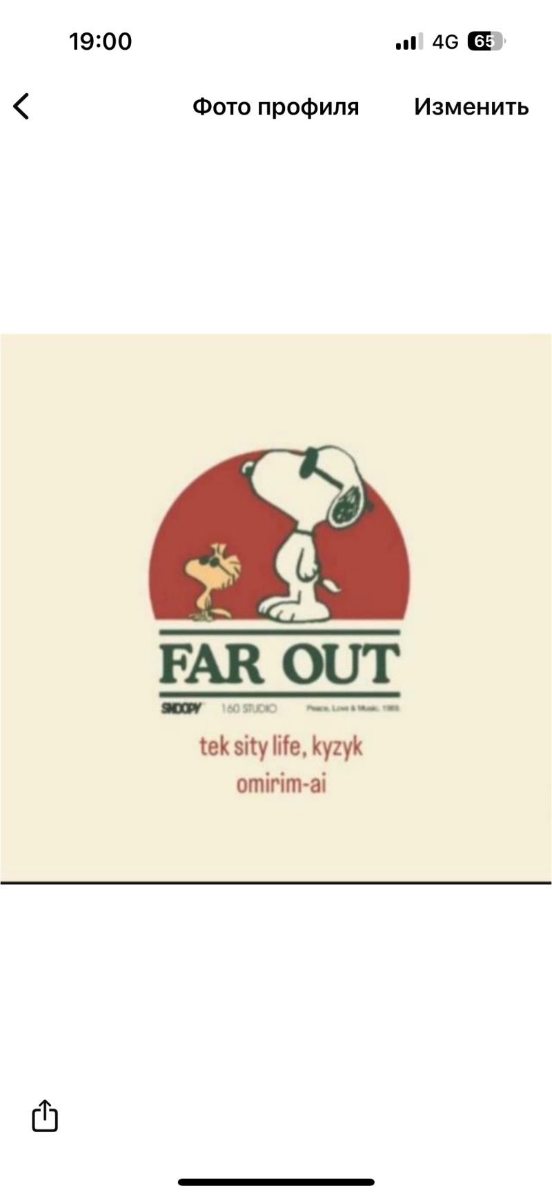 The image shows a cartoon of Snoopy and Woodstock in front of a red circle, with the text "FAR OUT," "SNOOPY 160 STUDIO Peace, Love & Music, 1965," and "tek sity life, kyzyk omirim-ai" below.