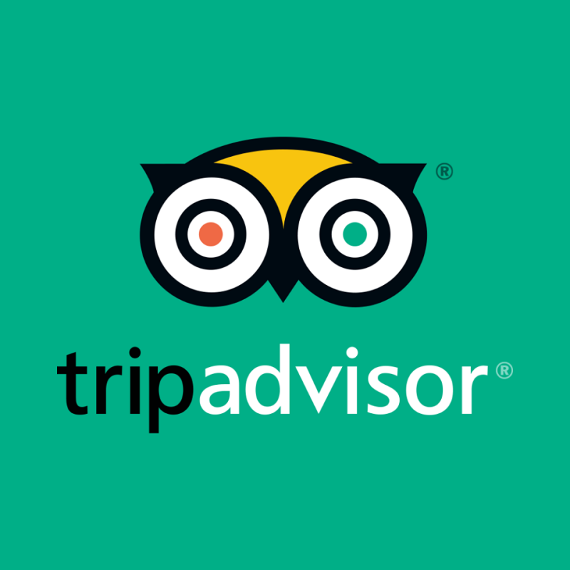 На изображении логотип TripAdvisor, на котором изображена сова с одним оранжевым глазом и одним зеленым глазом над текстом "tripadvisor."