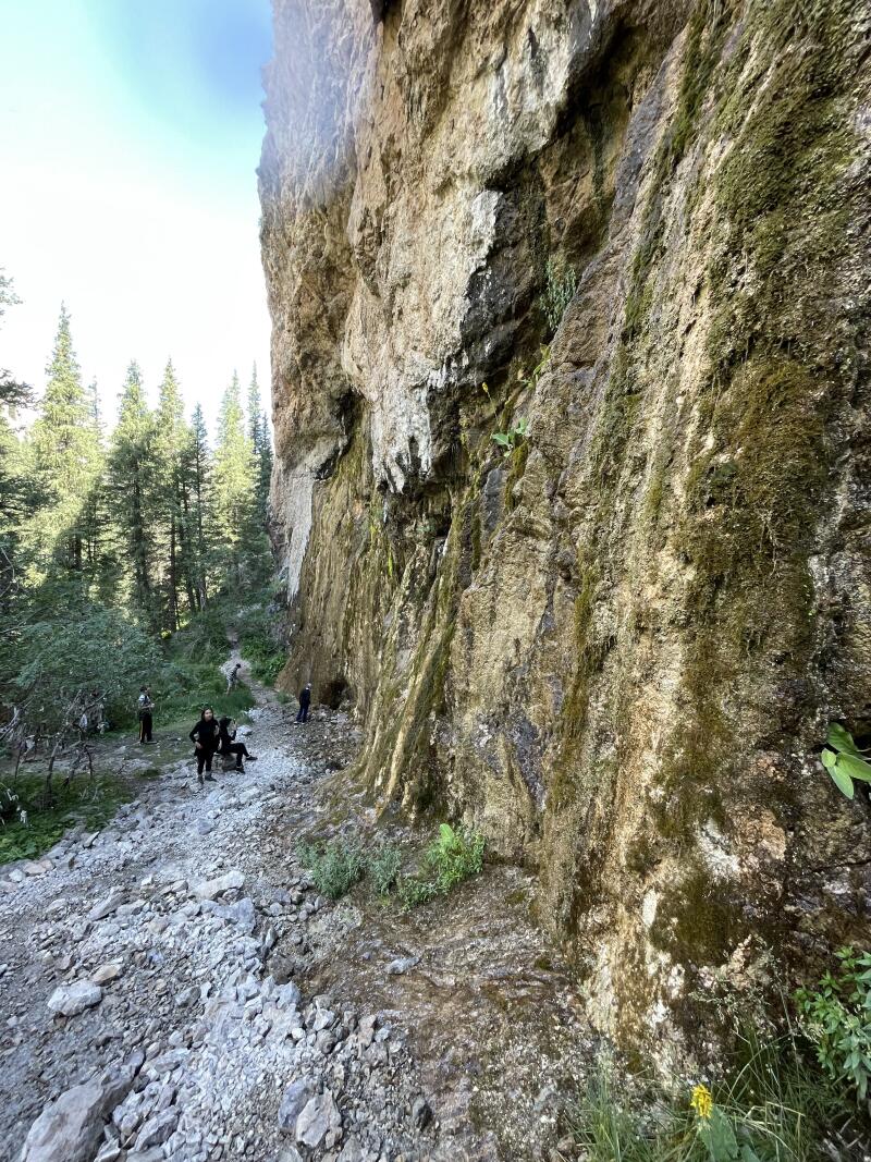 The image shows a rocky landscape with a large cliff face covered in moss and some greenery, several people are standing and sitting in the distance, and tall trees are visible in the background.