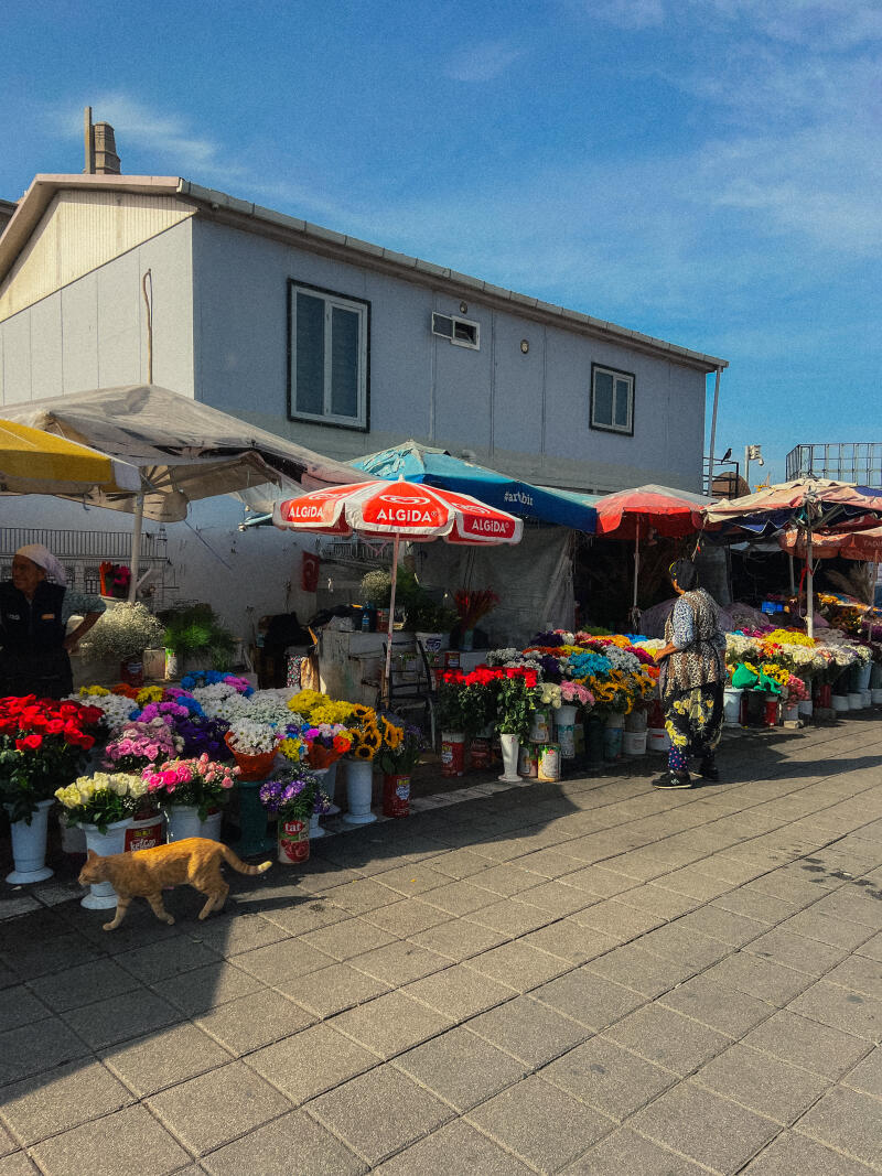 A street flower market is lined with colorful bouquets under umbrellas, with a cat walking by.