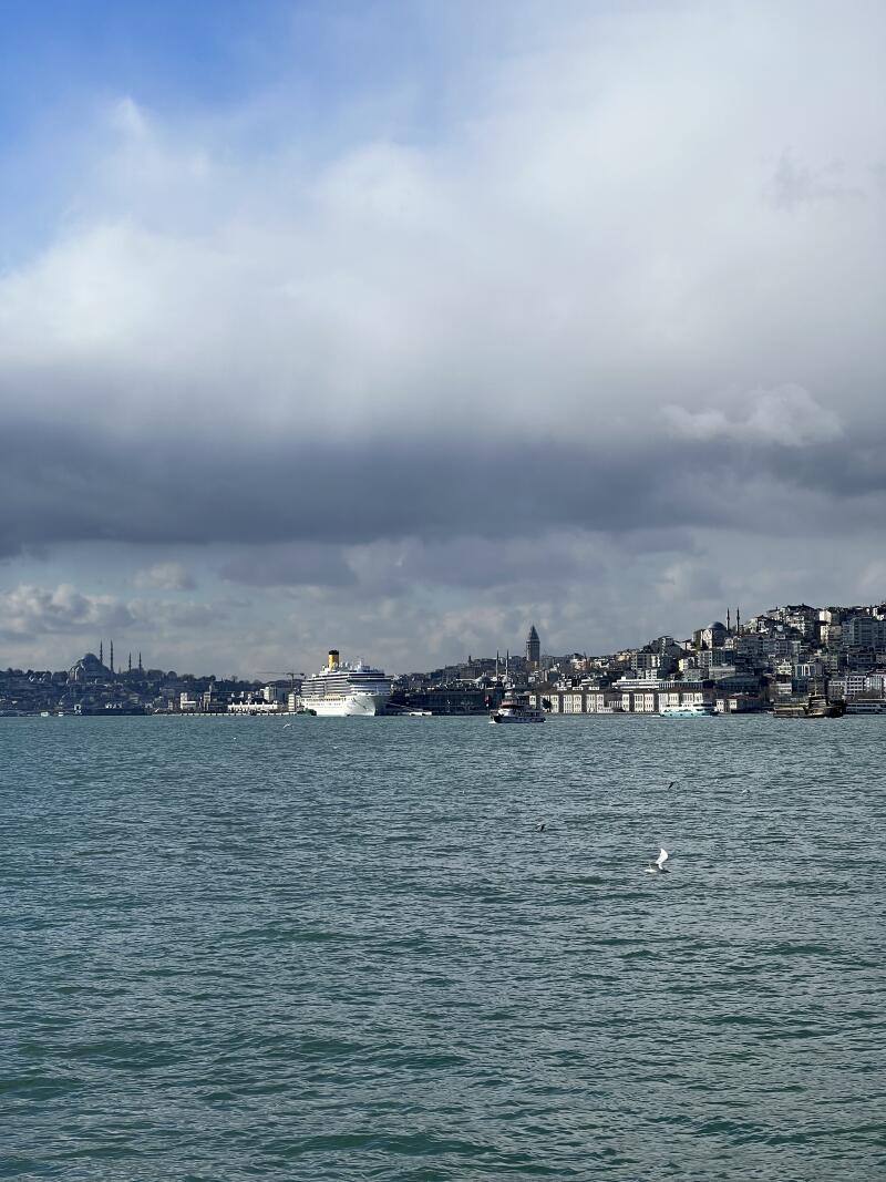 The image shows a body of water with a large cruise ship on the left and the city skyline in the background under a cloudy sky.