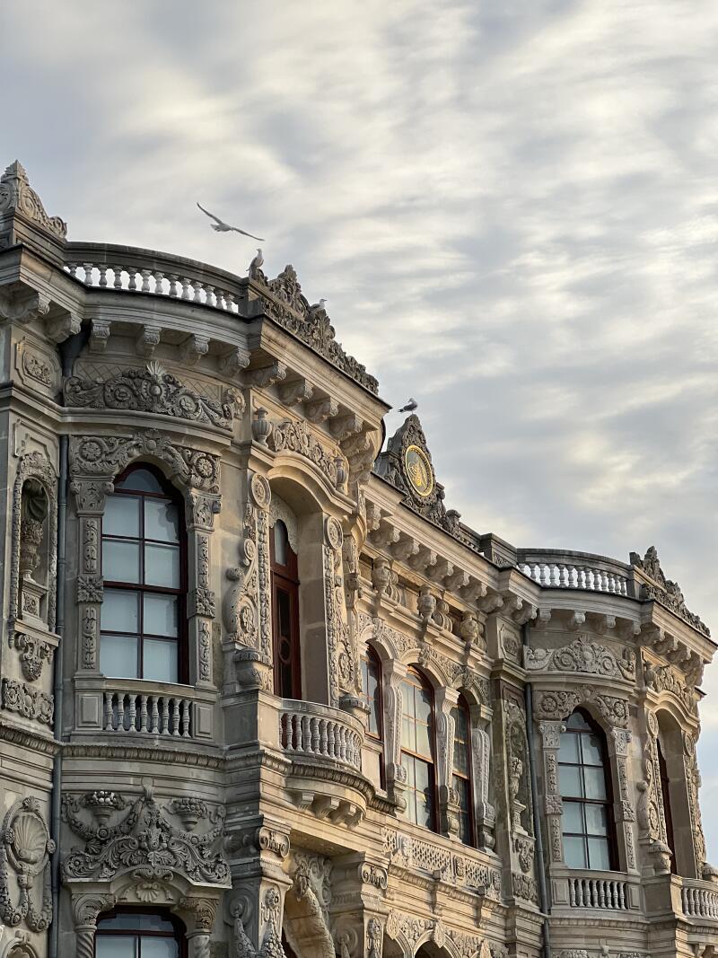 The Dolmabahçe Palace is captured from a low angle, showcasing its ornate facade with detailed carvings, multiple windows, and small balconies, with several seagulls perched on the roof and one in flight against a cloudy sky.
