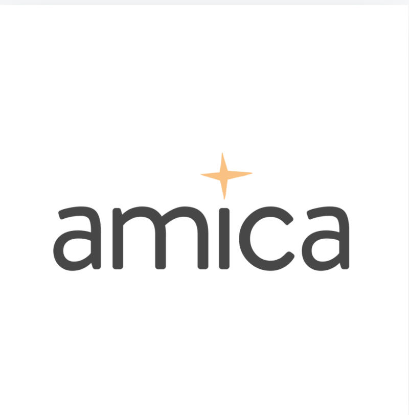 The image features the word "amica" in dark gray letters with a small, light orange star above the "i".
