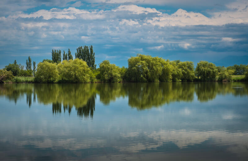The image shows a body of water reflecting trees and a cloudy sky.