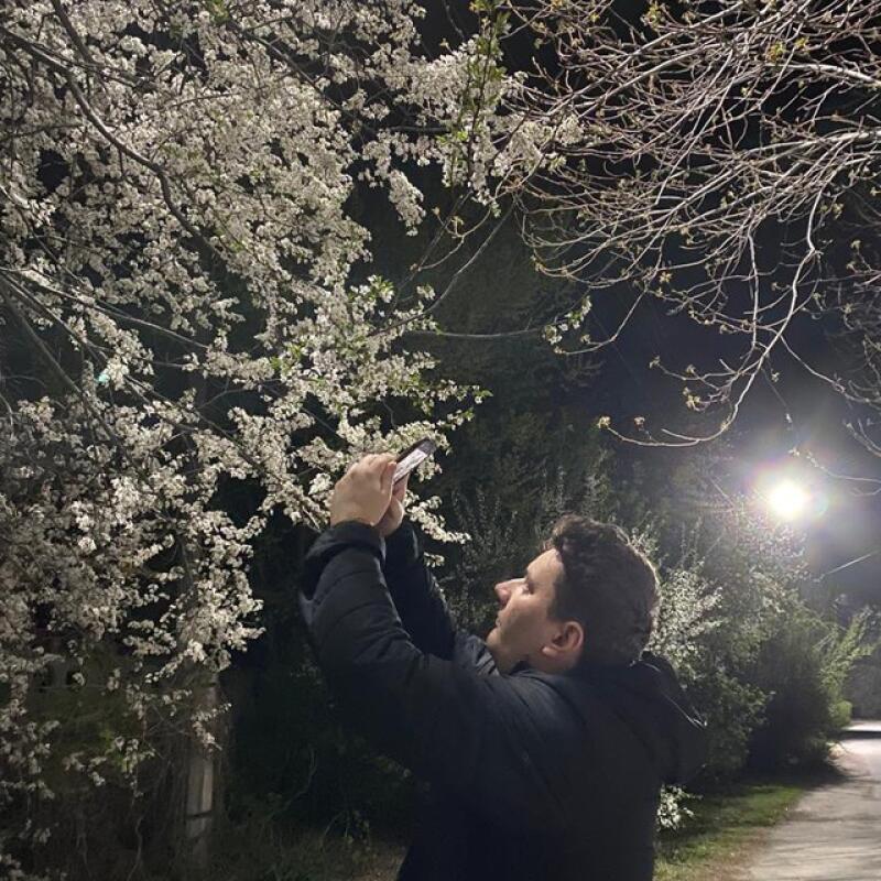 A man in a black jacket is taking a photo with his phone of a tree with white blossoms at night.