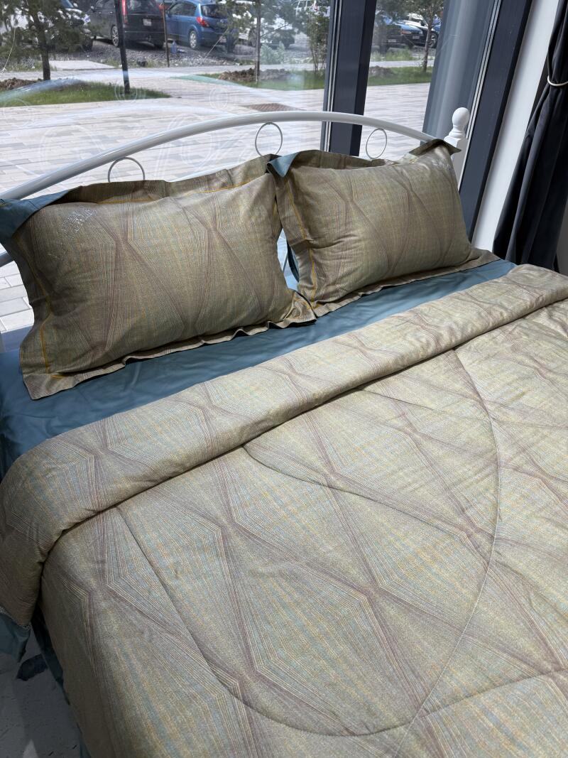The image shows a bed with a white metal frame, covered in blue sheets, and two pillows with a patterned duvet.