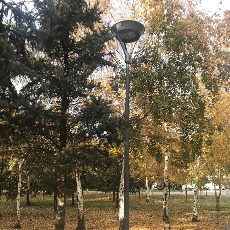 A tall gray lamppost stands among trees with autumn foliage, with fallen leaves scattered on the ground.