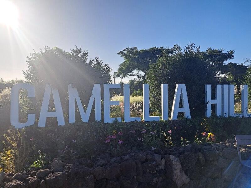 The image shows a "Camellia Hill" sign in front of a natural landscape under a bright sky.