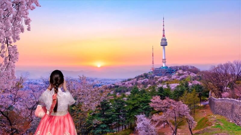 A woman in a traditional Korean dress looks out over a landscape featuring the Seoul Tower at sunset, surrounded by cherry blossoms.