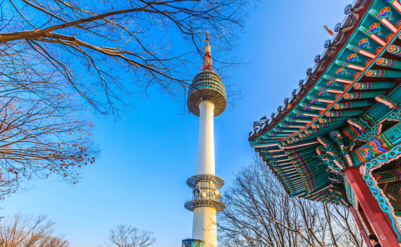 The image features the N Seoul Tower rising against a bright blue sky, partially framed by bare tree branches on the left and a traditional Korean building's ornate, colorful roof on the right.