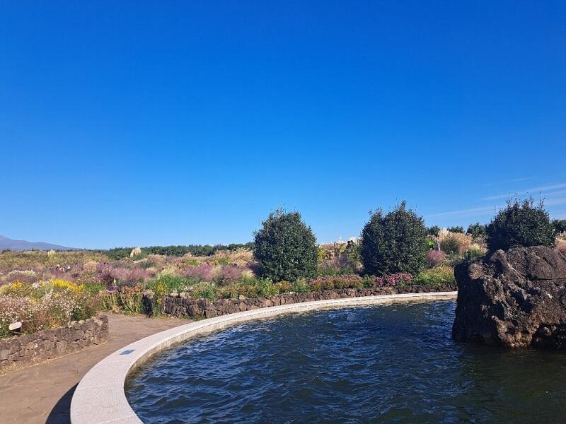 A water feature with a stone border sits in front of a garden with various flowers and trees under a clear blue sky.