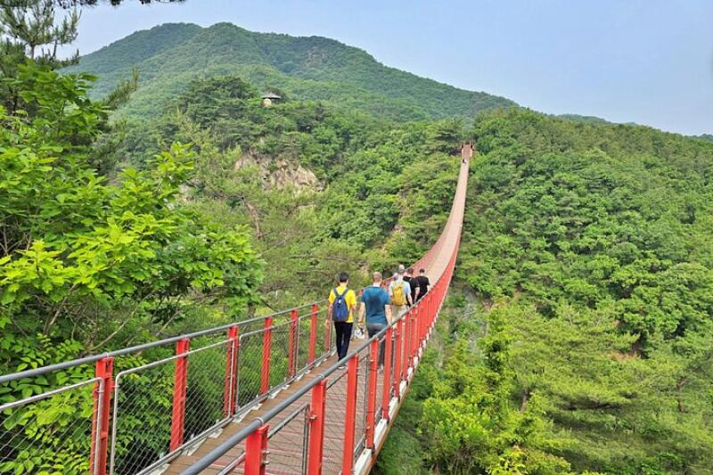 A group of people are walking across a long, narrow suspension bridge with red railings, surrounded by lush green trees and mountains under a bright sky.