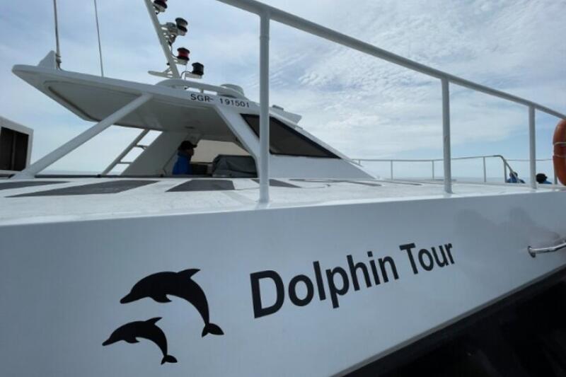 The side of a white boat with the words "Dolphin Tour" and two dolphin silhouettes. The boat also has the number "SGR-191501" visible on its upper structure.