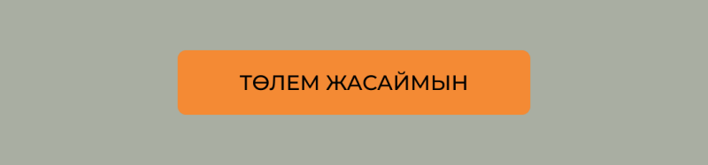 An orange rounded rectangle with the text "ТӨЛЕМ ЖАСАЙМЫН" in black, set against a gray background.