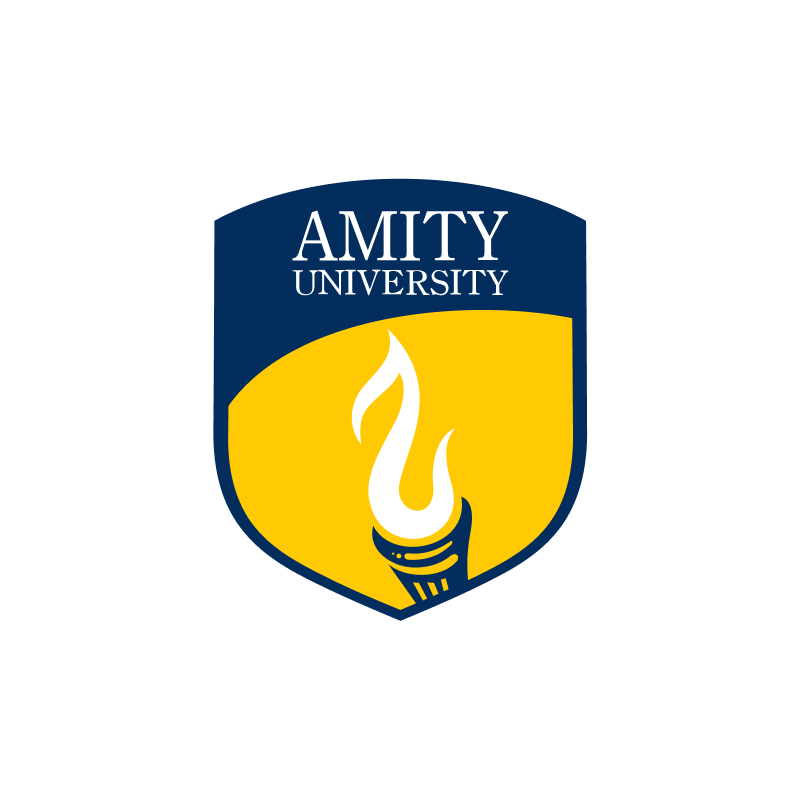 The image is a shield-shaped emblem for Amity University, featuring a white torch on a yellow background, with "AMITY UNIVERSITY" written in white on a dark blue upper section.