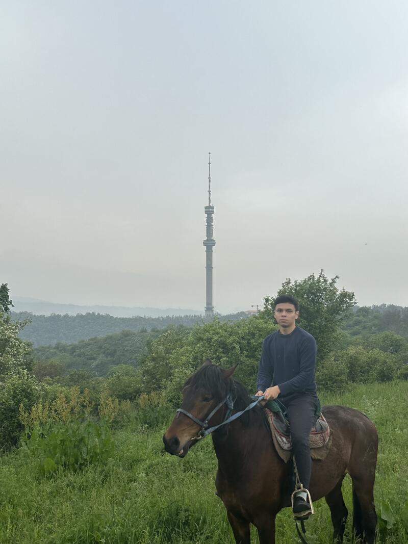 A person is riding a horse in a grassy field with a tall tower in the background.
