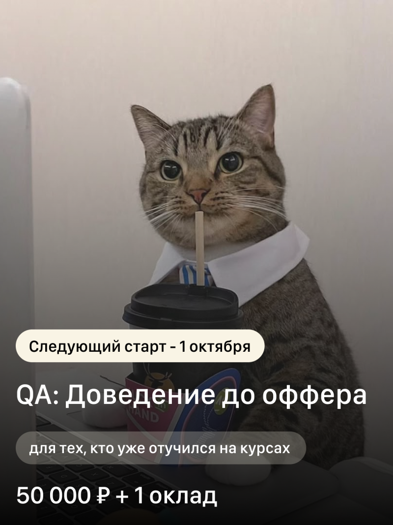 A cat wearing a shirt and tie is holding a straw from a black coffee cup, with the text 'Next start - October 1,' 'QA: Achieving an offer,' 'for those who have already graduated from courses,' and '50,000 P + 1 salary' visible.