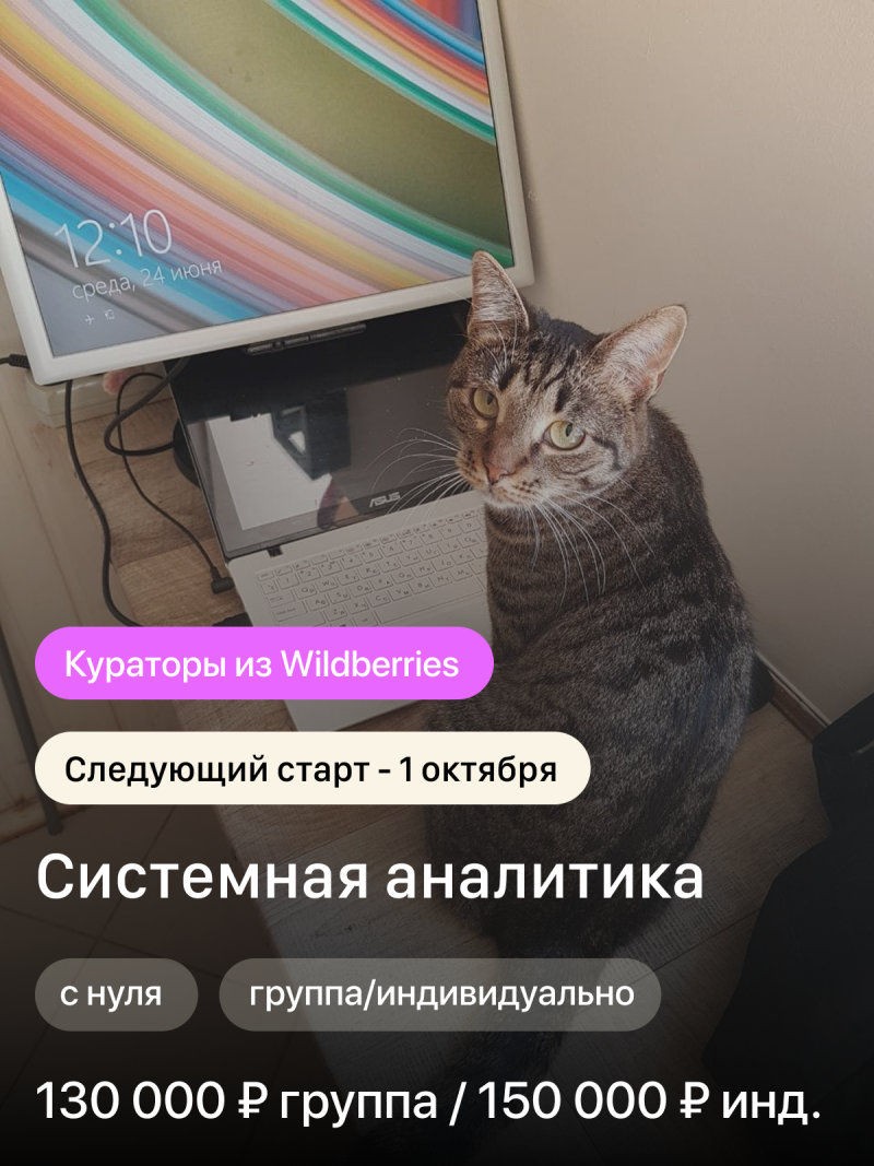 The image shows a tabby cat sitting in front of a laptop and a monitor displaying the time and date '12:10, Wednesday, June 24'. Text overlays on the image promote a 'System Analysis' course, with curators from Wildberries, starting October 1st, and costing 130,000 rubles for groups or 150,000 rubles for individual sessions.