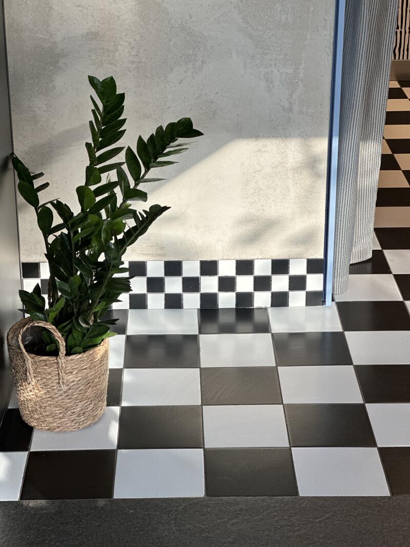 A plant in a woven pot sits on a black-and-white checkered floor near a wall with checkered trim.