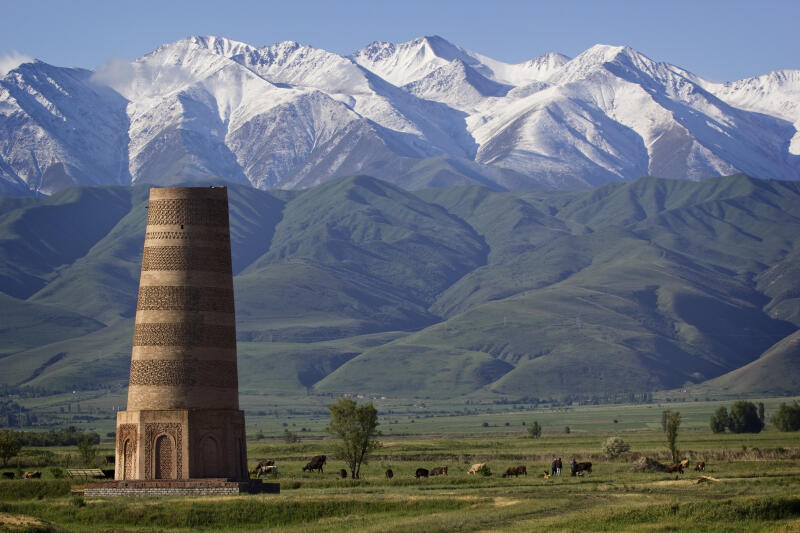 The image features the Burana Tower, a minaret in the Chuy Valley of northern Kyrgyzstan, with a backdrop of snow-capped mountains and a green, grassy foreground where livestock graze.