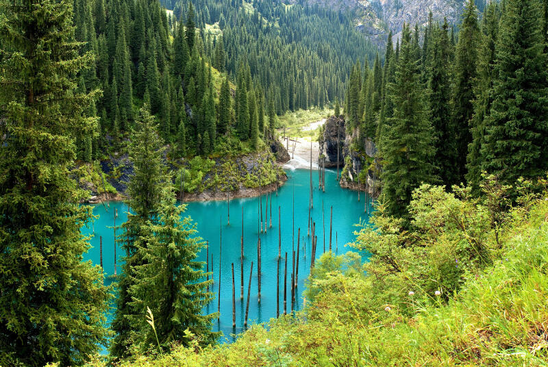 The image shows a mountain lake with turquoise water and submerged trees, surrounded by dense green forests and mountains.