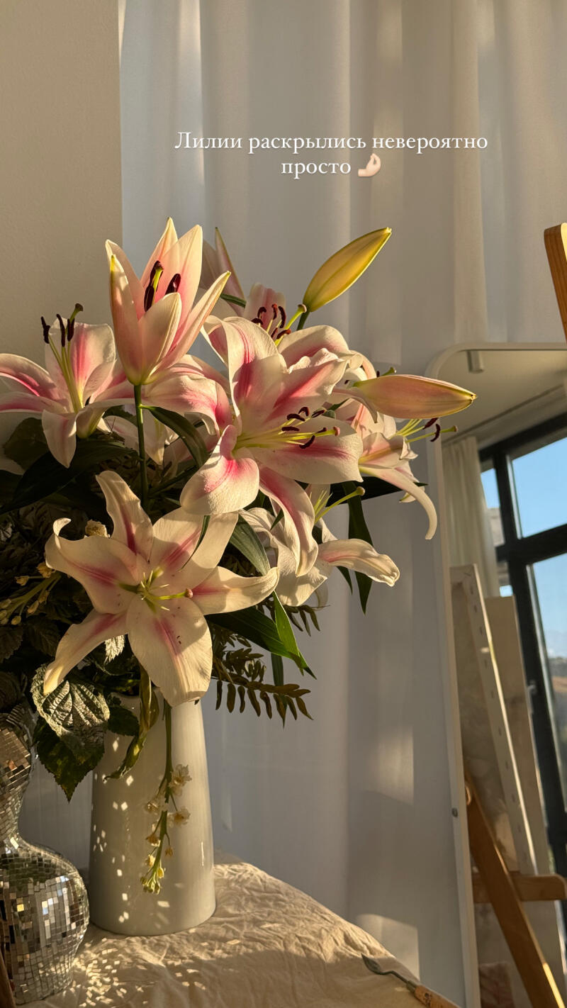 На изображении букет розово-белых лилий в белой вазе, освещенный солнечным светом, с текстом "Лилии раскрылись невероятно просто" над ними.