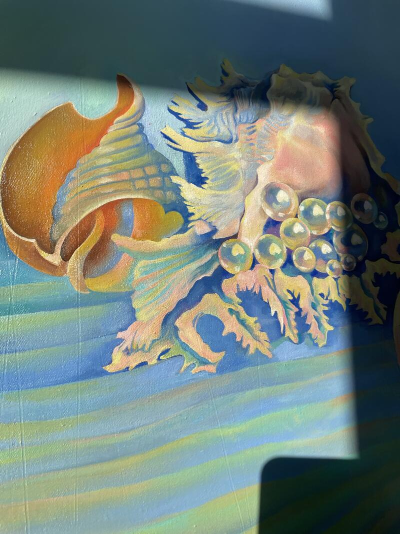 На картине изображены красочные морские раковины и пузыри на синем полосатом фоне, частично затененные тенью.