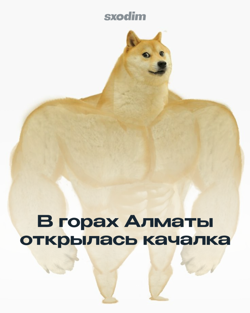A meme depicting a muscular Doge character on a white background, with the text "sxodim" at the top and "В горах Алматы открылась качалка" in the center.