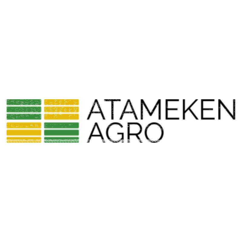 A logo featuring the text 'ATAMEKEN AGRO' in black, with a graphic to its left composed of green and yellow horizontal stripes arranged in two vertical blocks.