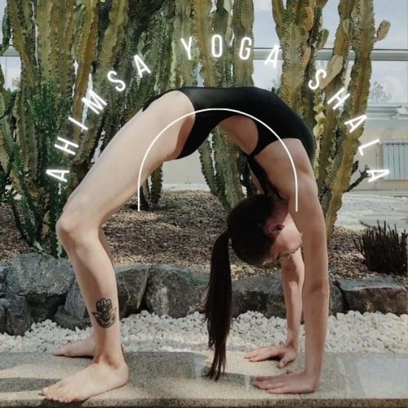 A woman in a black leotard is doing a backbend in front of a cactus, with the text "AHIMSA YOGA SHALA" in a circular arc around her.