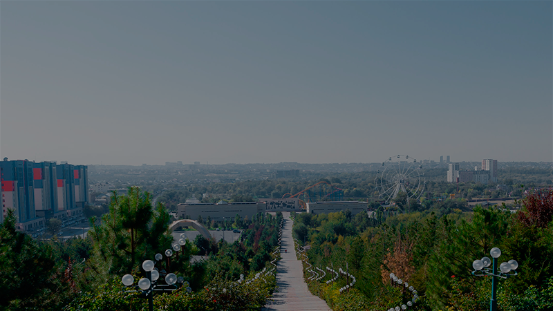Городской пейзаж с длинной каменной лестницей, обсаженной деревьями и декоративными фонарями, ведущей к зданиям и колесу обозрения вдали под ясным небом.
