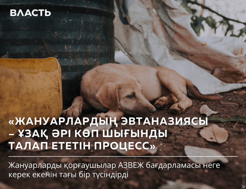A light brown puppy is lying down near a barrel and a yellow bucket, with text overlaid that reads 'ВЛАСТЬ', 'ЖАНУАРЛАРДЫН ЭВТАНАЗИЯСЫ – ҰЗАҚ ӘРІ КӨП ШЫҒЫНДЫ ТАЛАП ЕТЕТІН ПРОЦЕСС', and 'Жануарларды қорғаушылар АЗВЕЖ бағдарламасы неге керек екенін тағы бір түсіндірді'.