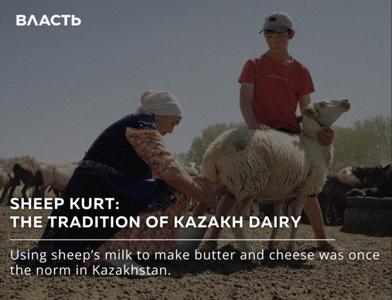 A woman milks a sheep while a young man sits on another sheep in a field. The text reads: "SHEEP KURT: THE TRADITION OF KAZAKH DAIRY. Using sheep's milk to make butter and cheese was once the norm in Kazakhstan."