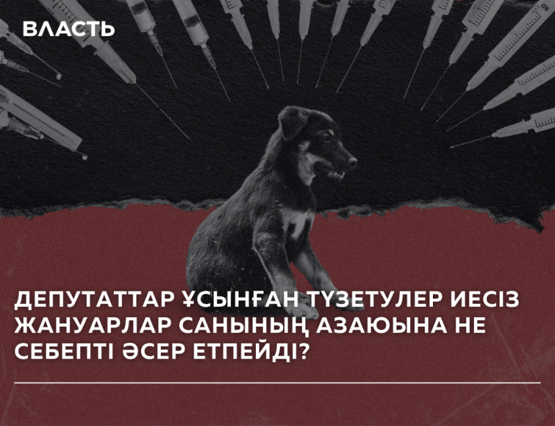 The image features a puppy, syringes, and the text "ВЛАСТЬ" at the top left, and the question "ДЕПУТАТТАР ҰСЫНҒАН ТҮЗЕТУЛЕР ИЕСІЗ ЖАНУАРЛАР САНЫНЫҢ АЗАЮЫНА НЕ СЕБЕПТІ ӘСЕР ЕТПЕЙДІ?" at the bottom.