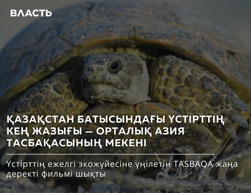 A close-up of a turtle with a shell, along with the text "ВЛАСТЬ" and "ҚАЗАҚСТАН БАТЫСЫНДАҒЫ ҮСТІРТТІҢ КЕҢ ЖАЗЫҒЫ – ОРТАЛЫҚ АЗИЯ ТАСБАҚАСЫНЫҢ МЕКЕНІ Үстірттің ежелгі экожүйесіне үңілетін TASBAQA жаңа деректі фильмі шықты".