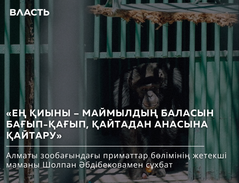 A chimpanzee is behind bars, with text overlay in Kazakh and Russian, including the title 'ВЛАСТЬ' (Power).
